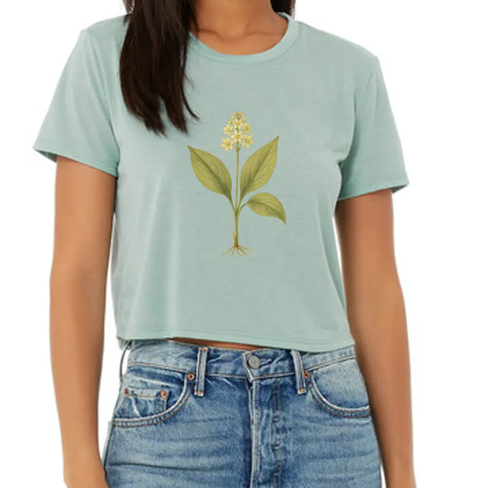 American lily-of-the-valley