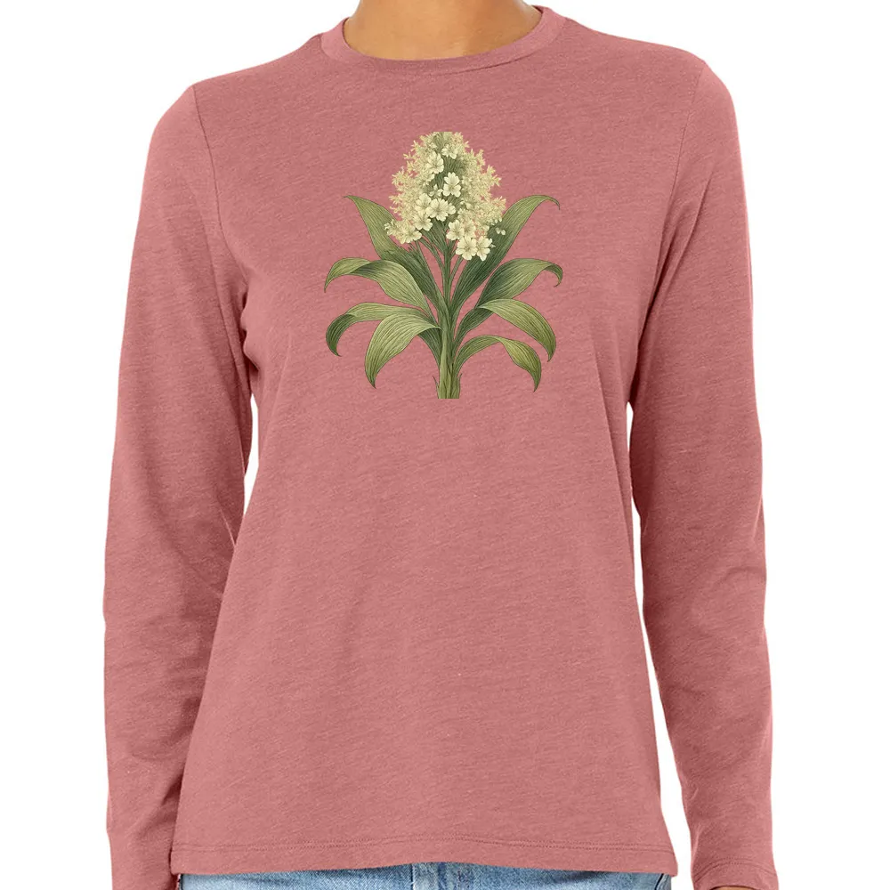 dracaena