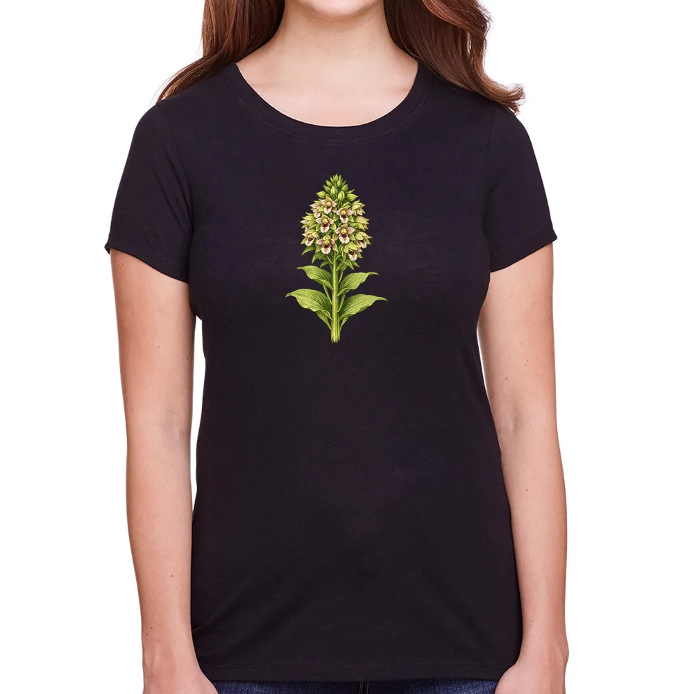 broadleaf helleborine