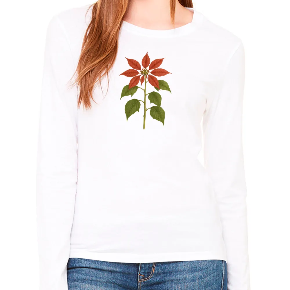 poinsettia
