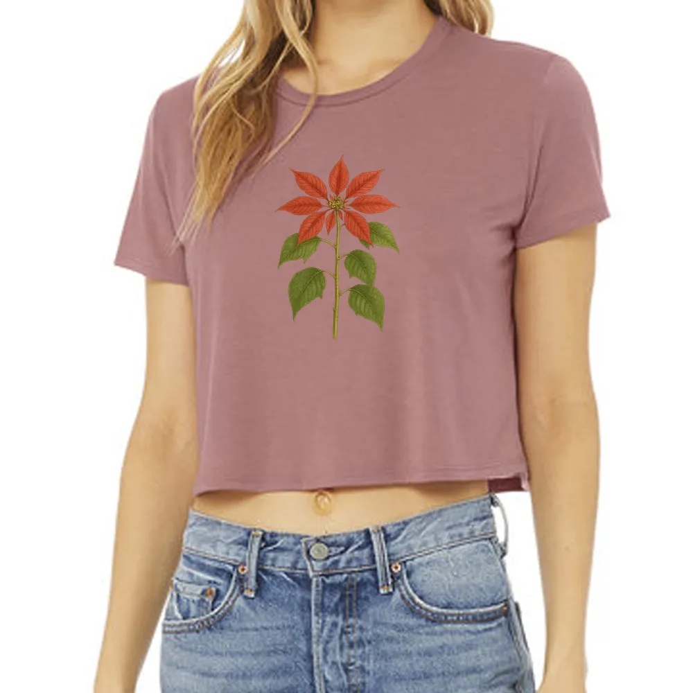 poinsettia