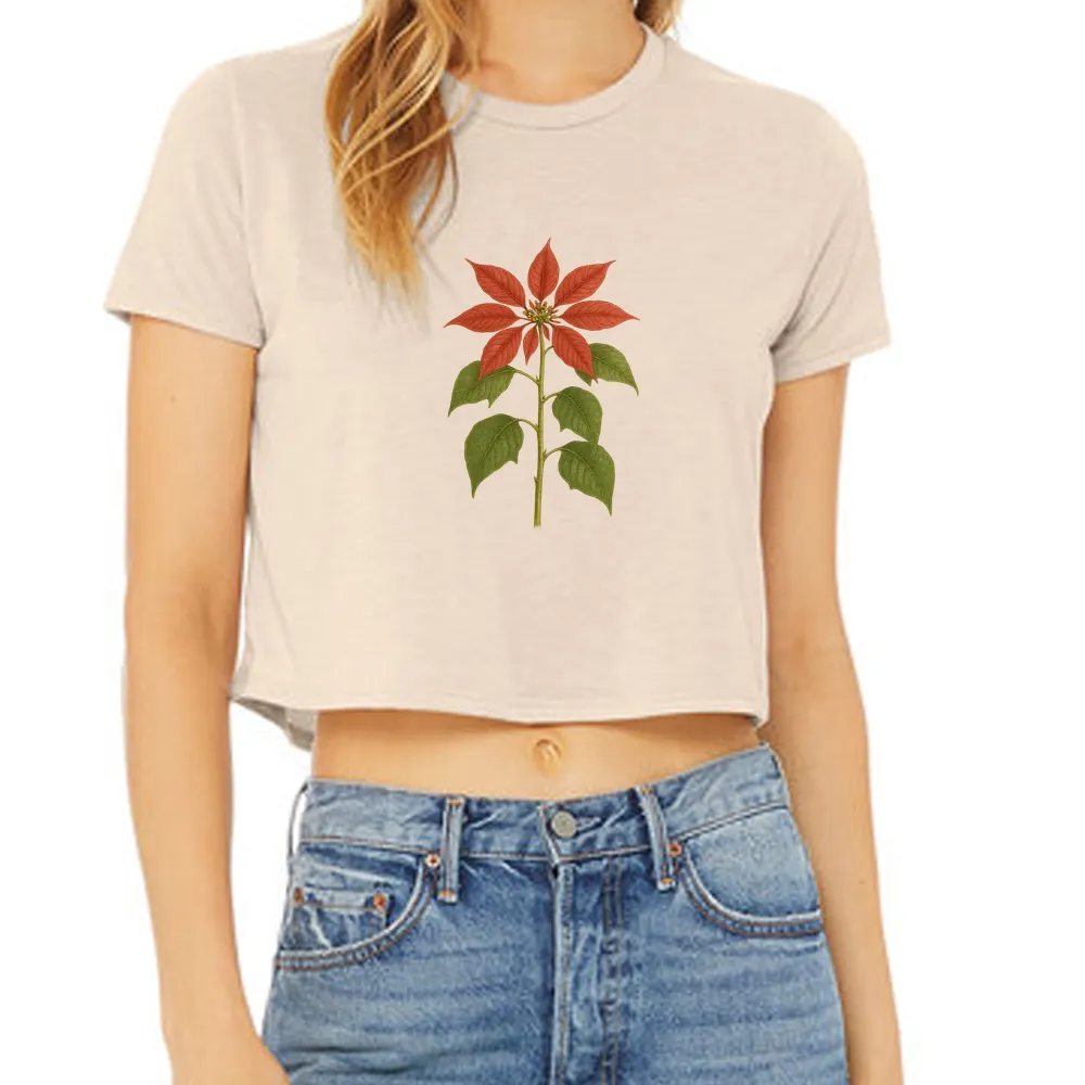 poinsettia