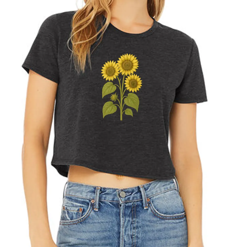 common sunflower