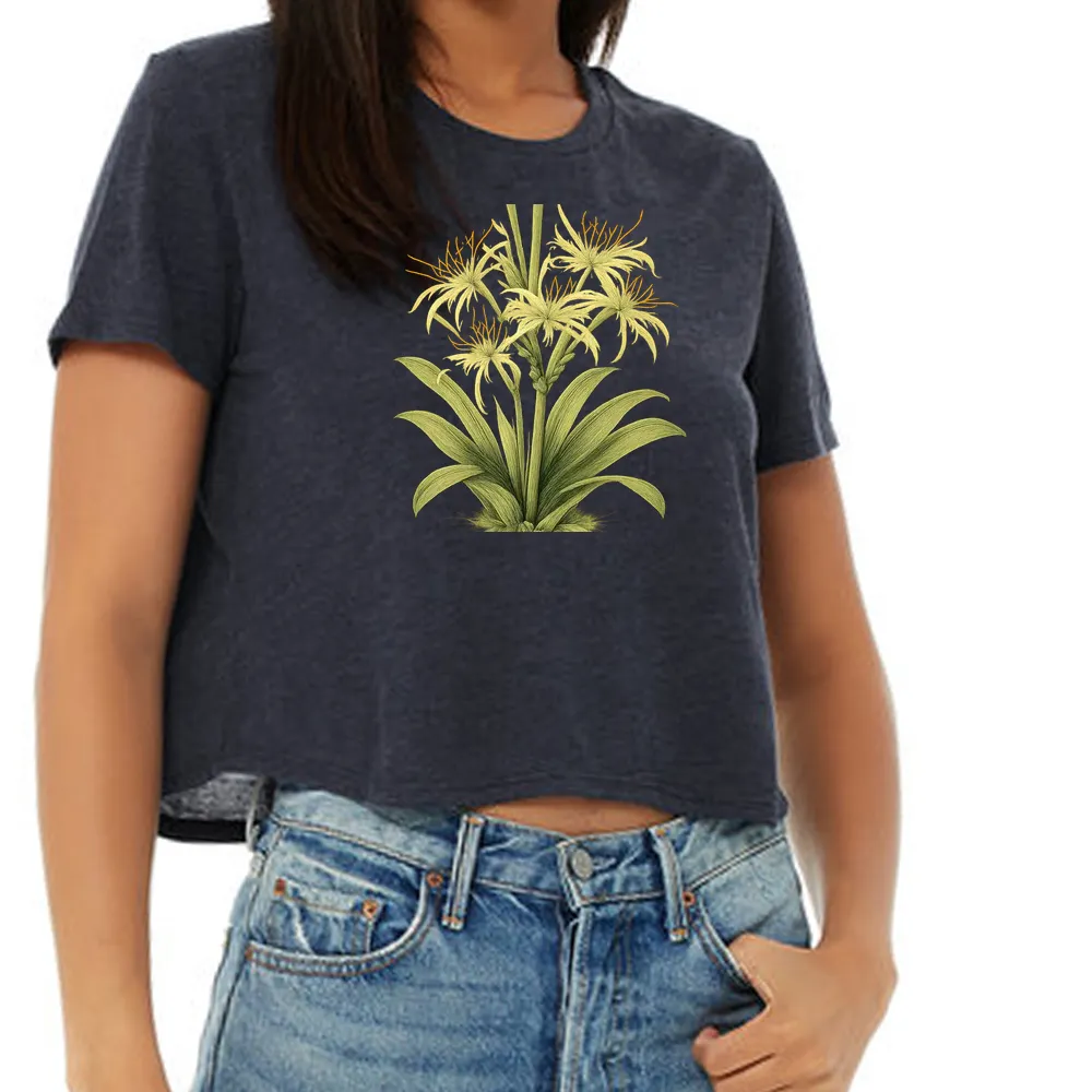 Caribbean spiderlily