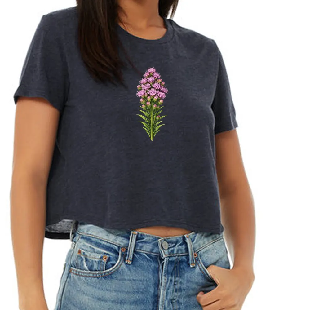 Appalachian blazing star