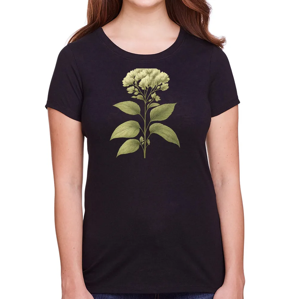 white rattlesnakeroot