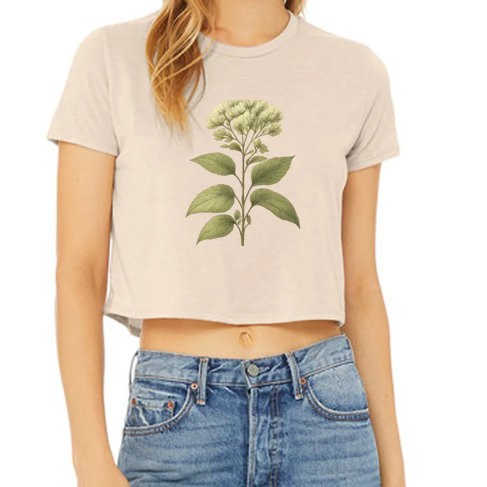 white rattlesnakeroot