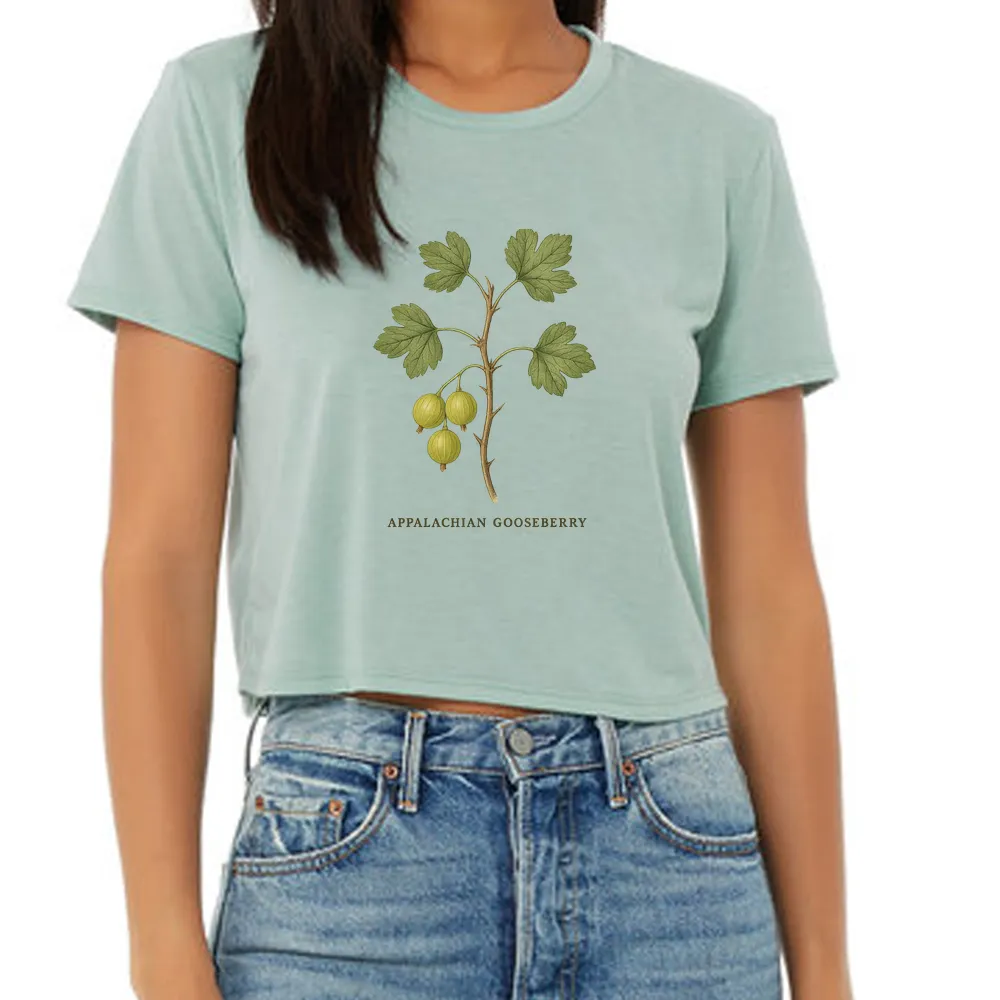 Appalachian gooseberry