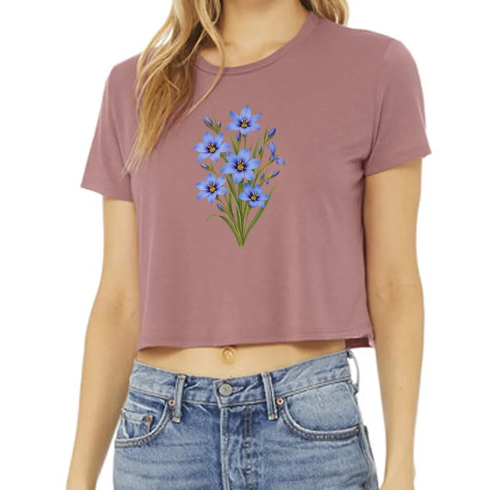 Hawai'i blue-eyed grass