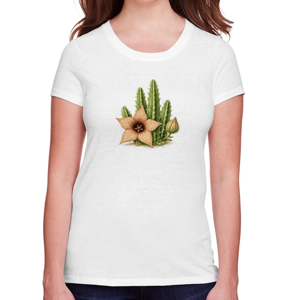 stapelia