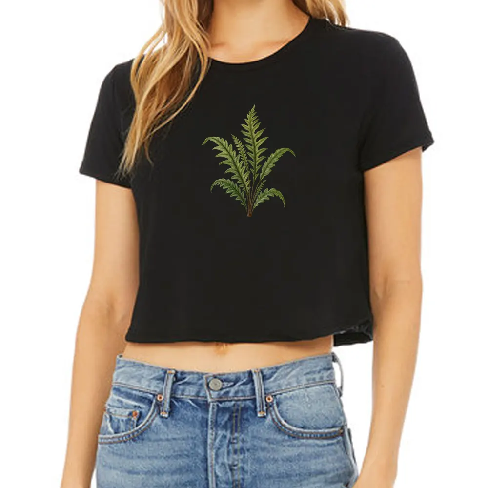 winged bristle fern