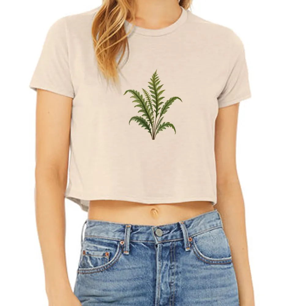 winged bristle fern