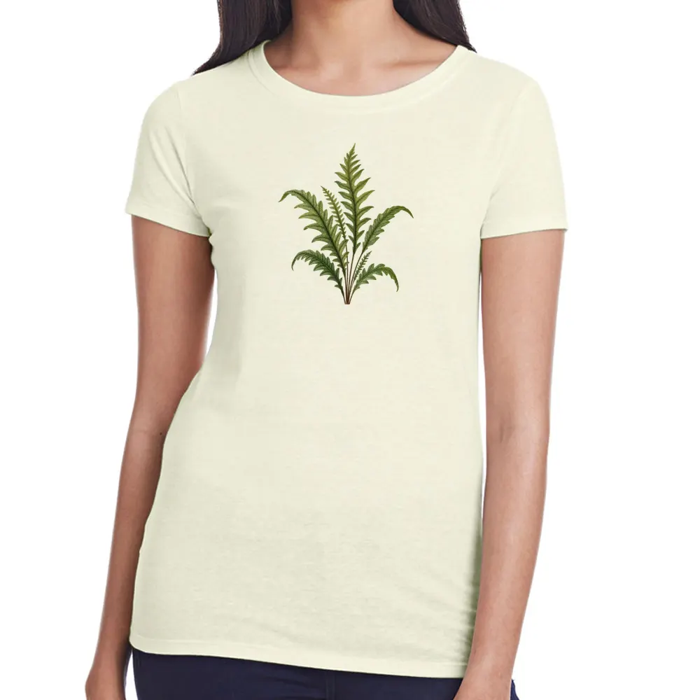 winged bristle fern