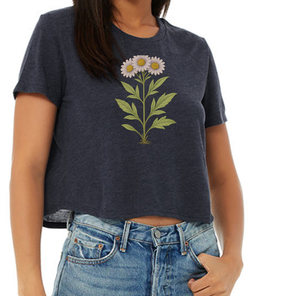 Apalachicola doll's daisy