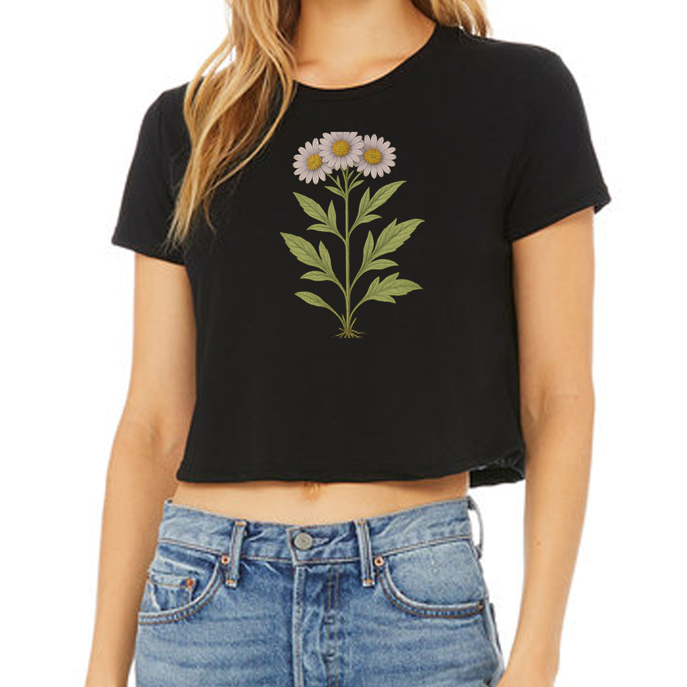 Apalachicola doll's daisy