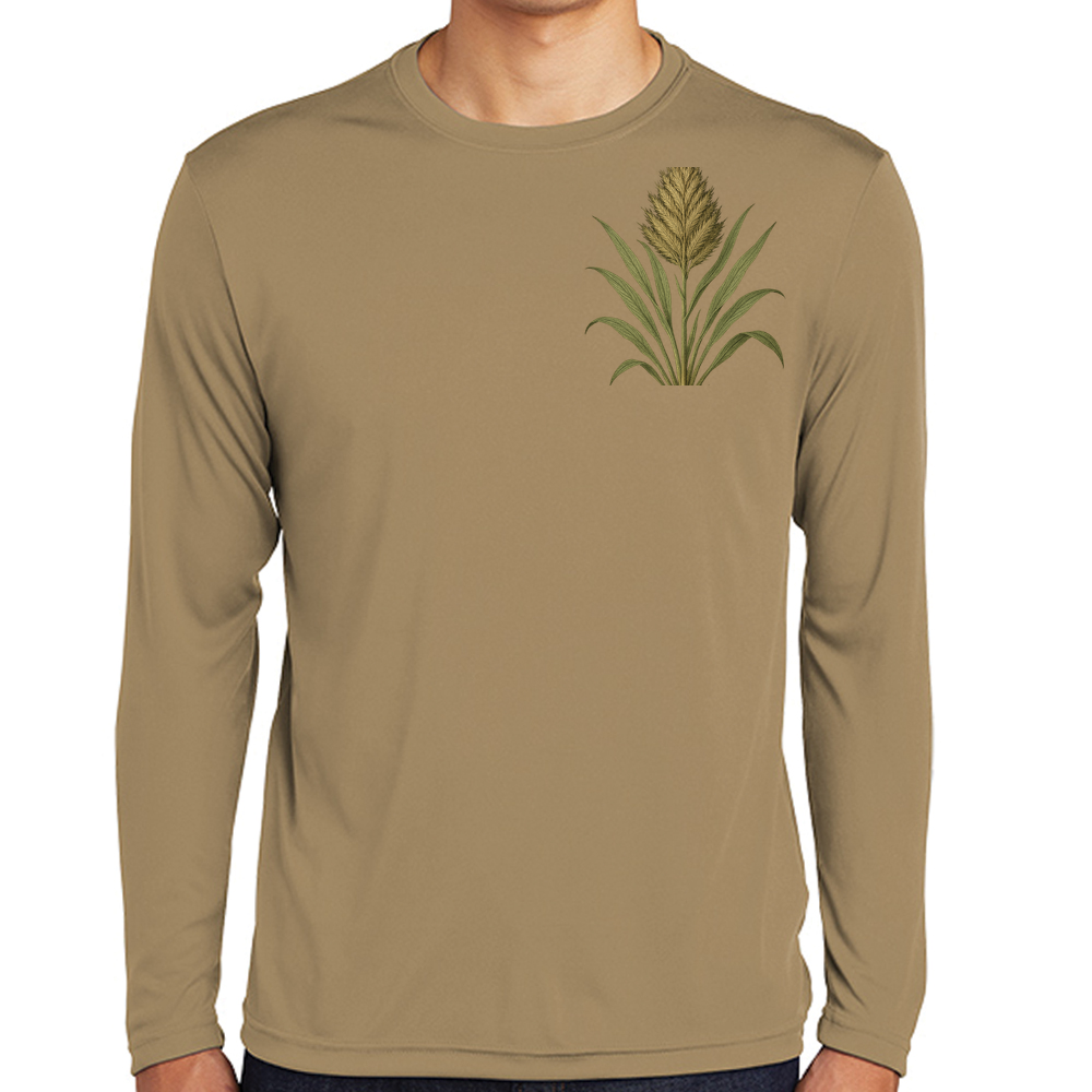 Springfield's beardgrass