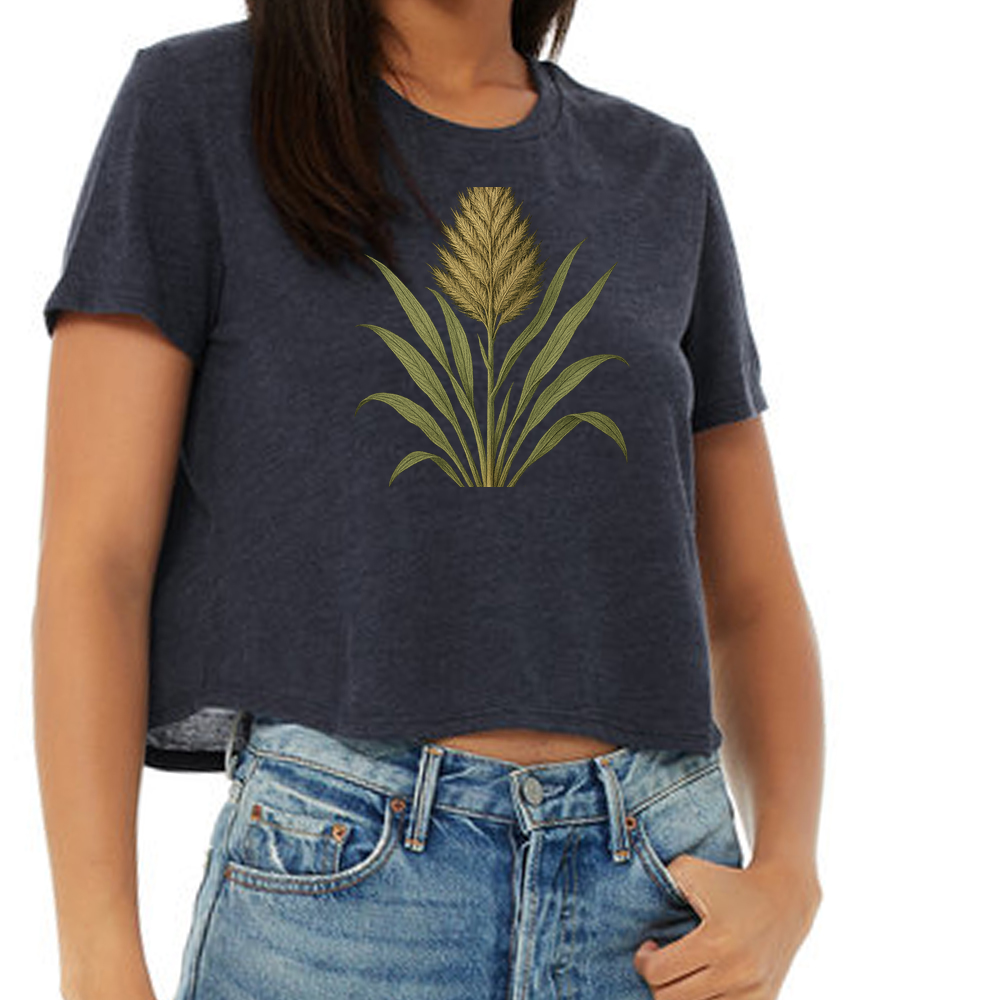 Springfield's beardgrass