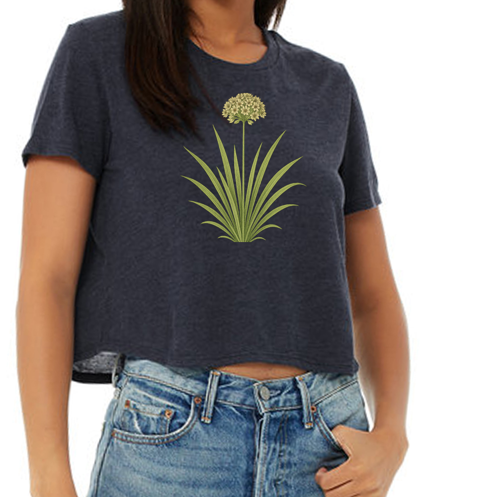 Addison's rosette grass