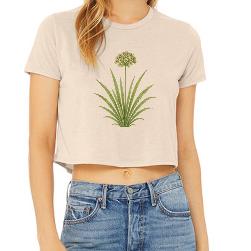 Addison's rosette grass