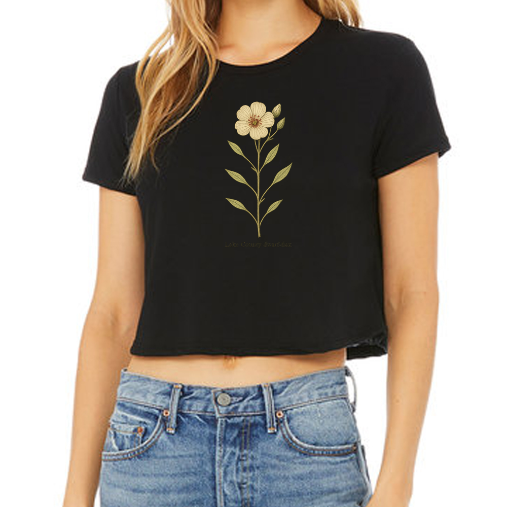 Lake County dwarf-flax