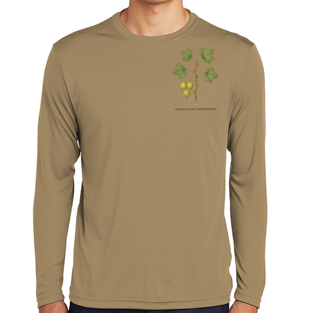 Appalachian gooseberry