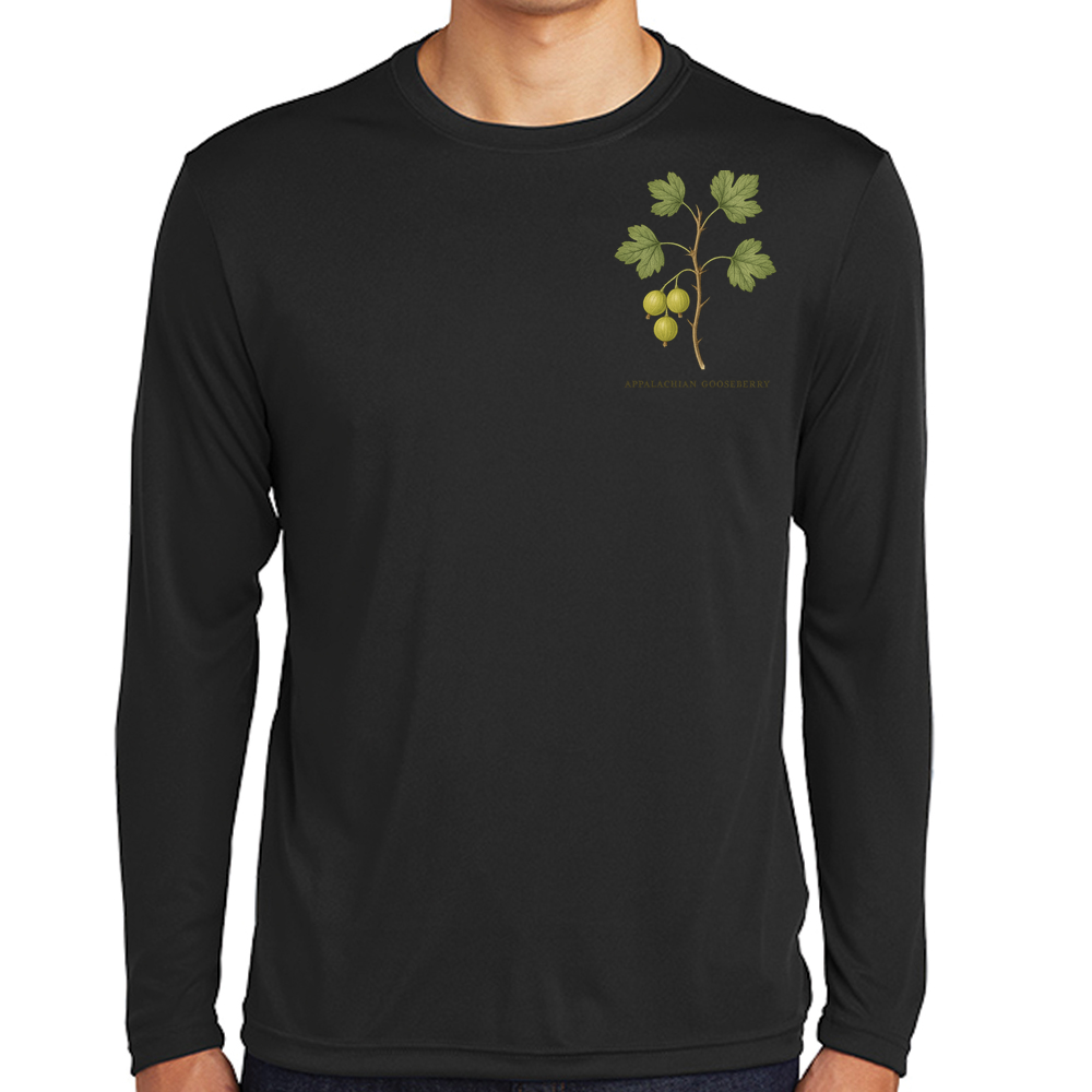 Appalachian gooseberry